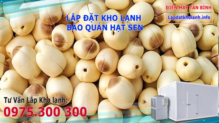Cách bảo quản hạt sen khô
