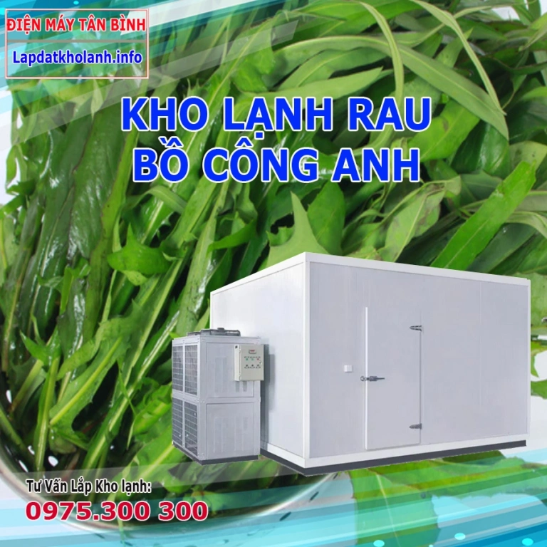 Những lưu ý khi Lắp kho lạnh bảo quản Rau bồ công anh