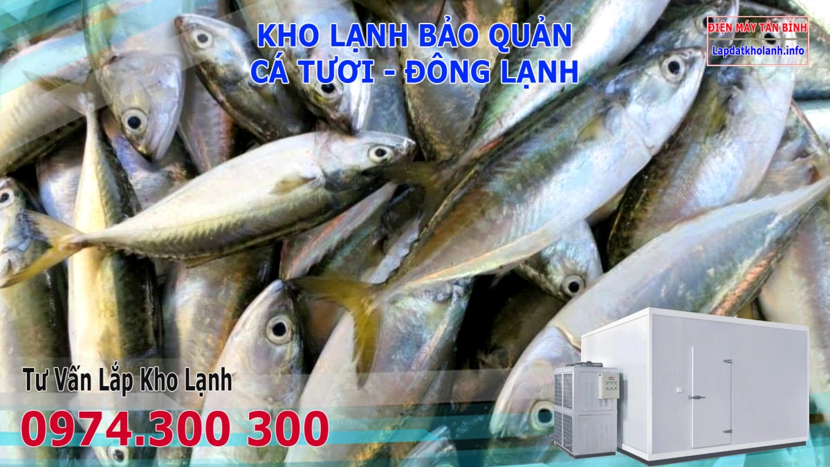 Lắp đặt kho lạnh bảo quản Cá Bạc Má tươi và Đông Lạnh 6 Lắp đặt kho lạnh bảo quản Cá Bạc Má tươi và Đông Lạnh