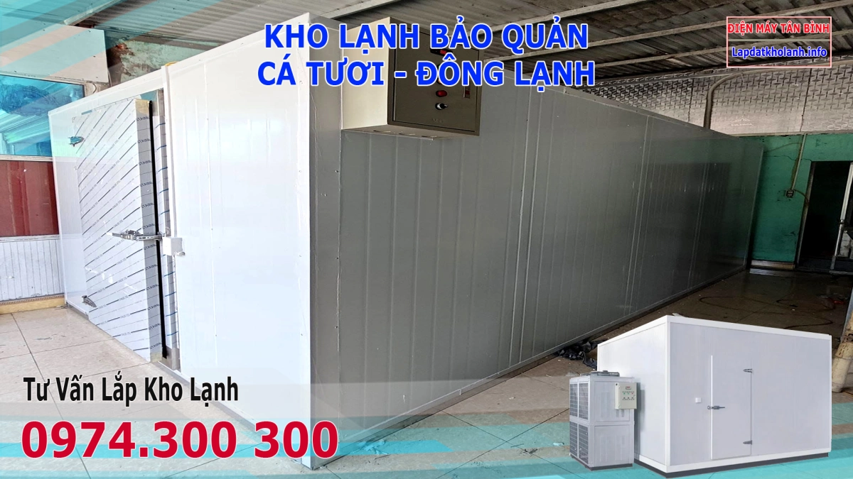 Lắp đặt kho lạnh bảo quản Cá Bạc Má tươi và Đông Lạnh 8 Lắp đặt kho lạnh bảo quản Cá Bạc Má tươi và Đông Lạnh