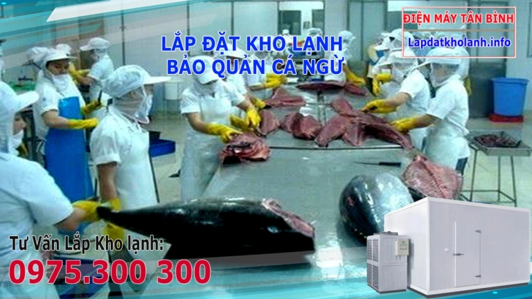 Cách chế biến cá ngừ đông lạnh