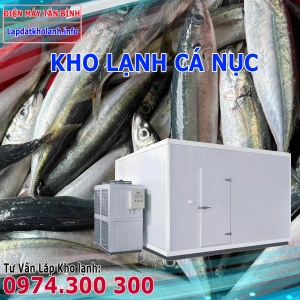 Lắp đặt kho lạnh bảo quản Cá Nục tươi và Đông Lạnh