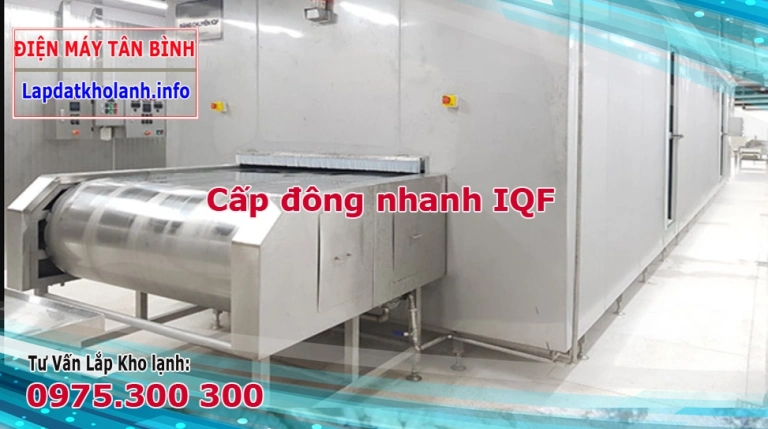 Cấp đông nhanh IQF | Chế tạo máy cấp đông nhanh