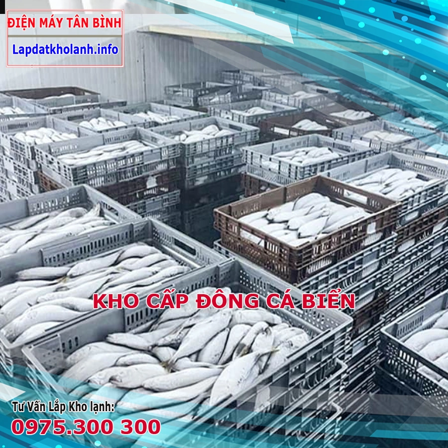 kho lạnh cấp đông nhanh cá biển