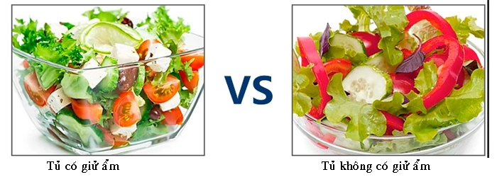Tủ mát có chức năng giử ẩm