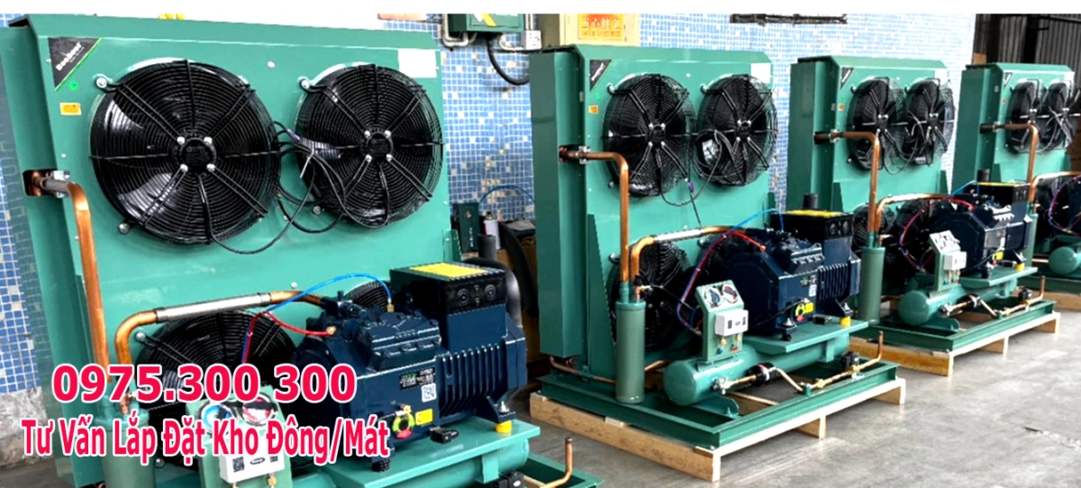 Lắp đặt Kho lạnh trử xúc xích, giò chả, lạp xưởng 6 cụm máy nén kho lạnh kho đông