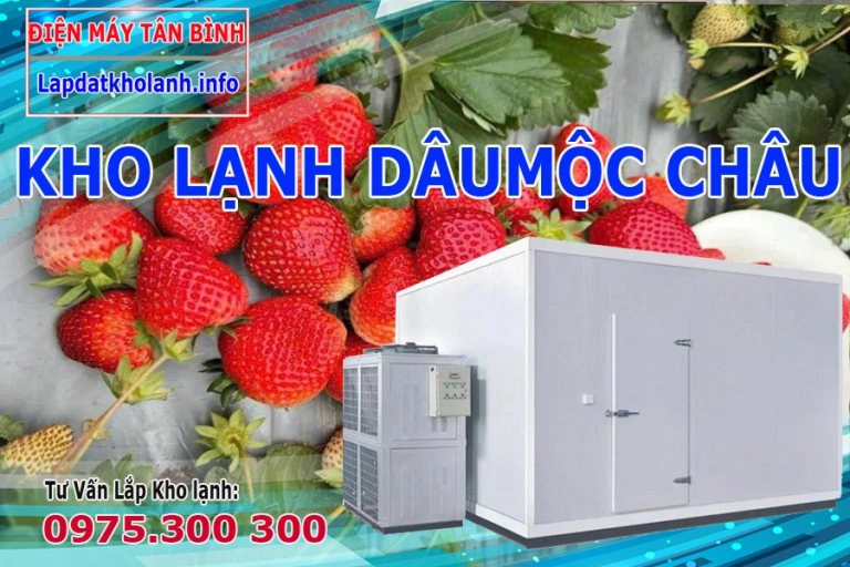 Cách bảo quản Quả dâu Mộc Châu tươi lâu trong kho lạnh
