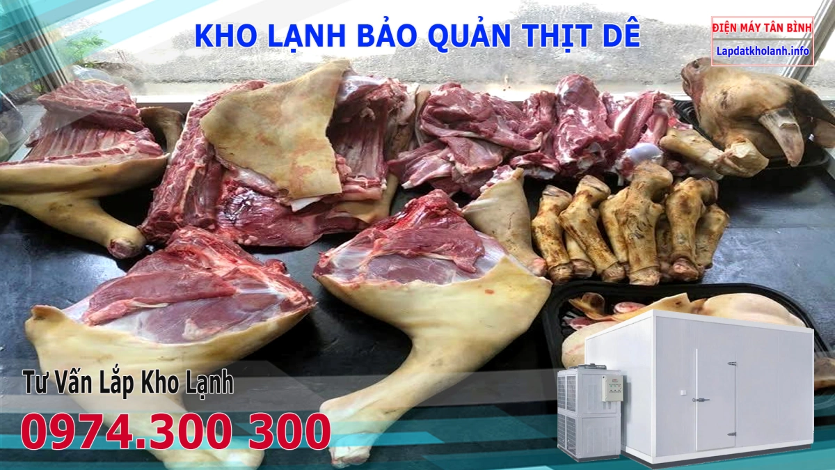 Lắp đặt kho lạnh bảo quản Thịt Dê tươi và Đông Lạnh 5 lắp đặt kho lạnh bảo quản thịt dê tươi đông lạnh