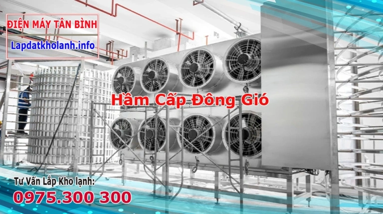 Cấp đông BQF, Hầm đông gió 5 tấn 10 tấn, tủ đông gió thực phẩm 500kg
