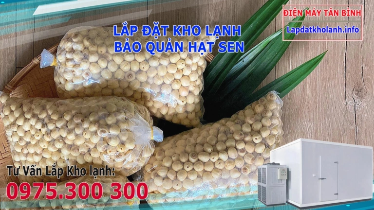 Cách Bảo Quản Hạt Sen Đông Hộp