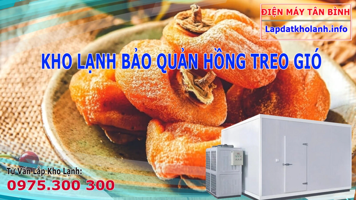 Lắp kho lạnh bảo quản hồng treo gió luôn dẻo, ngon đúng tiêu chuẩn
