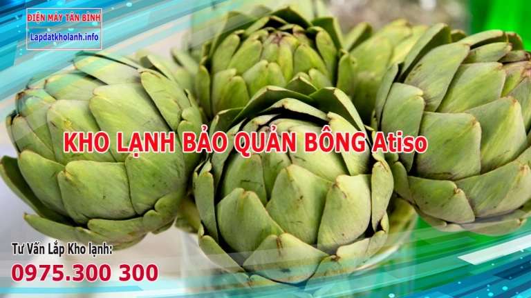 Những điều cần lưu ý khi lắp kho lạnh bảo quản Bông atiso tươi