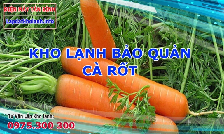 Cách bảo quản Cà Rốt trong kho lạnh tươi lâu