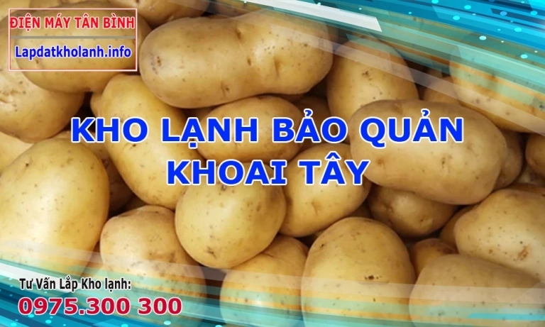 Lắp đặt kho lạnh bảo quản Khoai Tây đúng chuẩn, tư vấn lắp kho lạnh