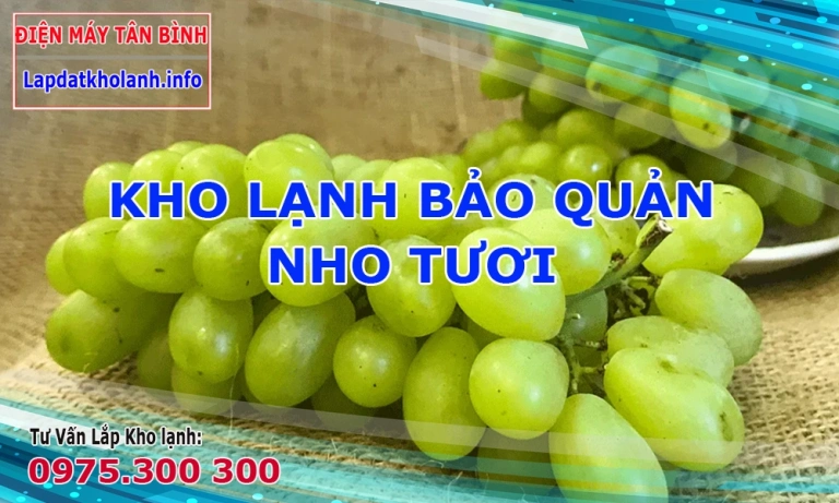 Tư vấn lắp đặt kho lạnh bảo quản Nho đúng chuẩn