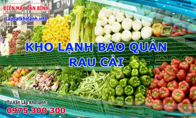 Cách bảo quản Rau Cải trong kho lạnh trong thời gian dài, tư vấn kho lạnh