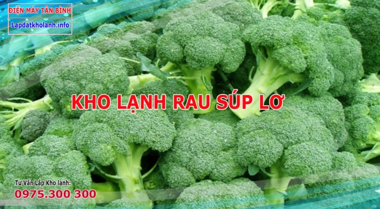 4 điều cần lưu ý khi Lắp đặt kho lạnh bảo quản Súp Lơ Đà Lạt