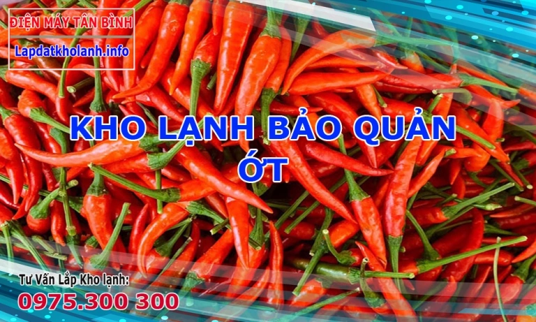 Cách bảo quản trái Ớt trong kho lạnh trong thời gian dài