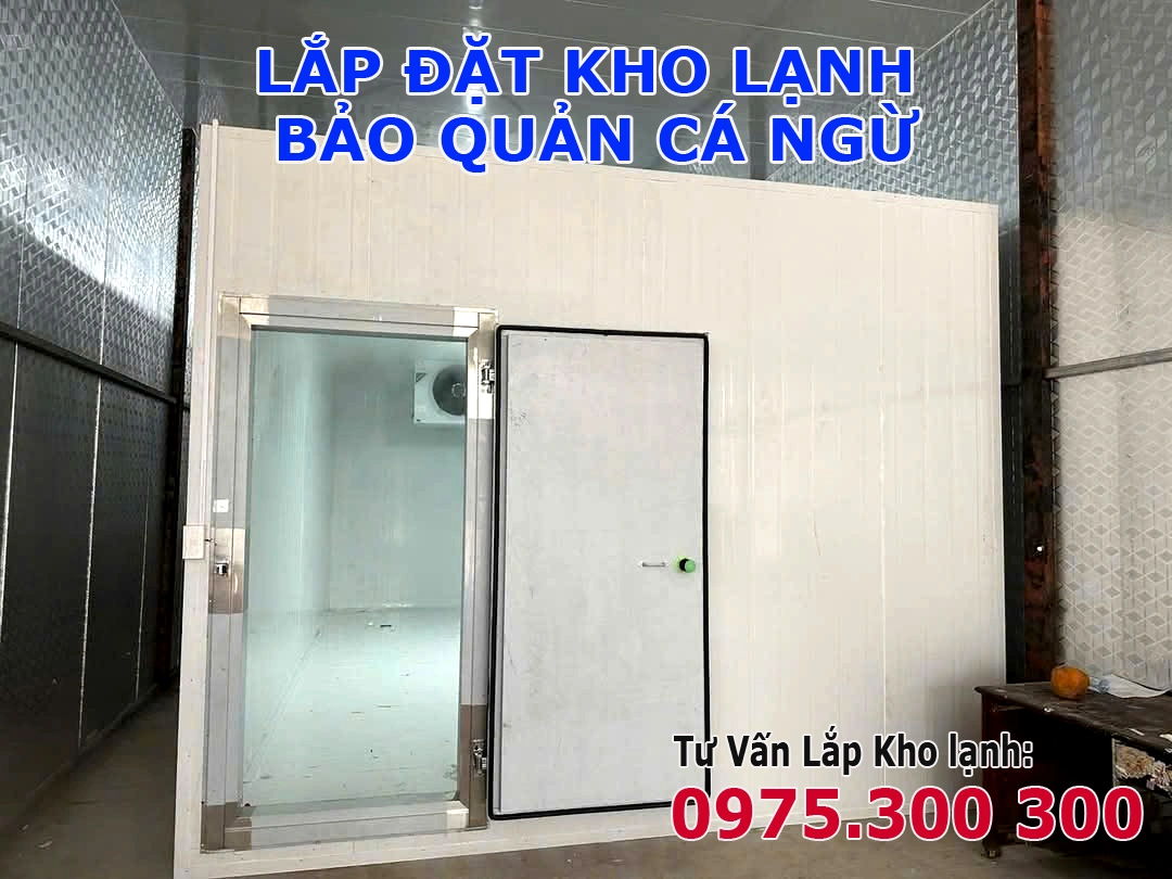 kho đông lạnh cá ngừ