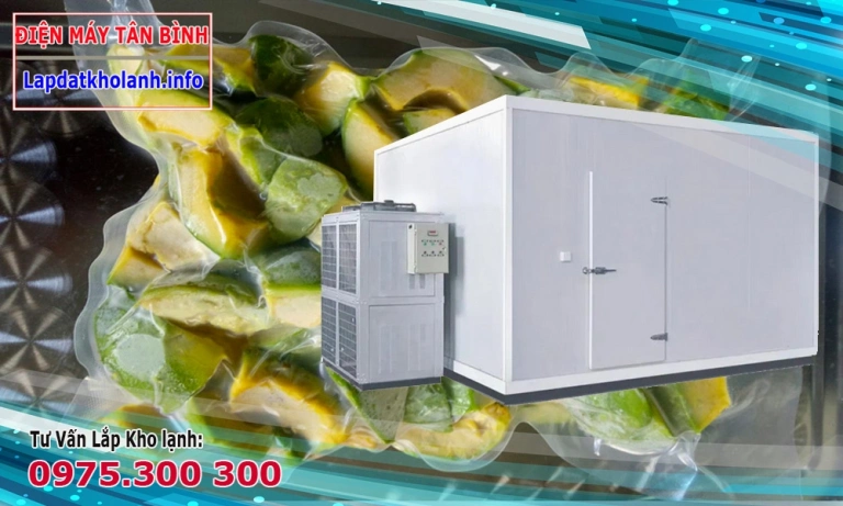 Tư vấn lắp đặt kho lạnh cấp đông bơ, sầu riêng