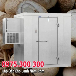 Kho lạnh Bảo quản nấm mối đen, nấm rơm, nấm mèo