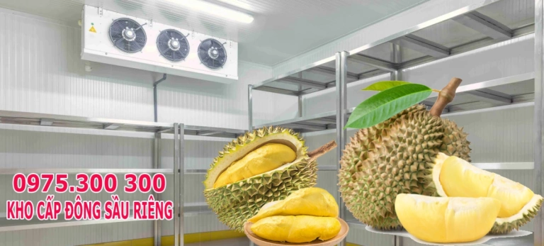 Kho cấp đông trái Sầu riêng, kho lạnh bảo quản Sầu riêng