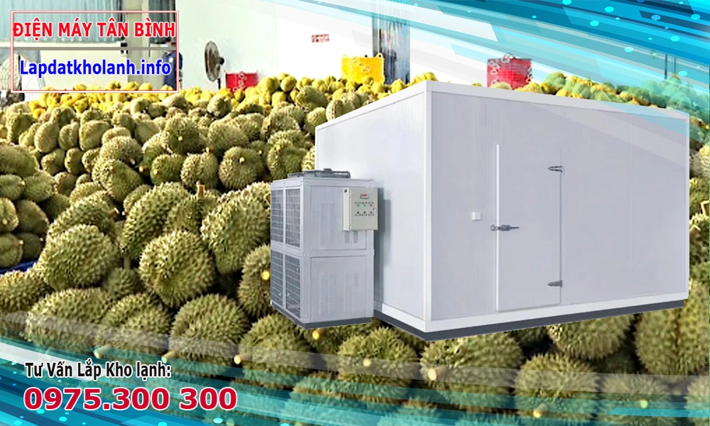 kho lạnh bảo quản sầu riêng