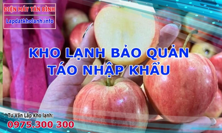 Cách bảo quản trái Táo nhập khẩu đúng cách trong kho lạnh, tư vấn lắp kho lạnh