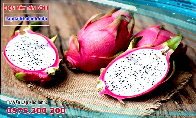 Tư vấn lắp đặt kho lạnh bảo quản trái thanh long