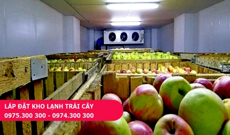 10 loại trái cây cần bảo quản lạnh trong tủ mát, kho lạnh trái cây