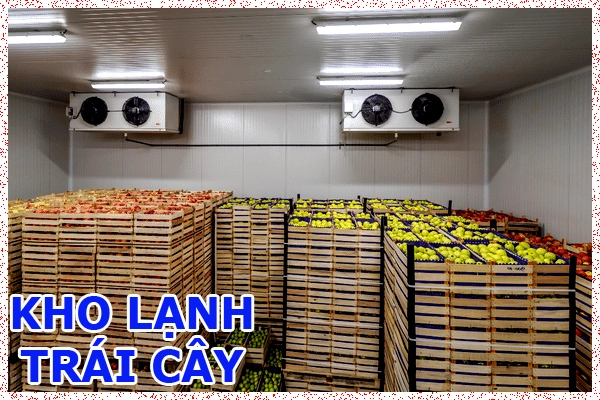 Kho lạnh trái cây nhập khẩu, Kho lạnh bảo quản trái cây 6 kho lạnh trái cây
