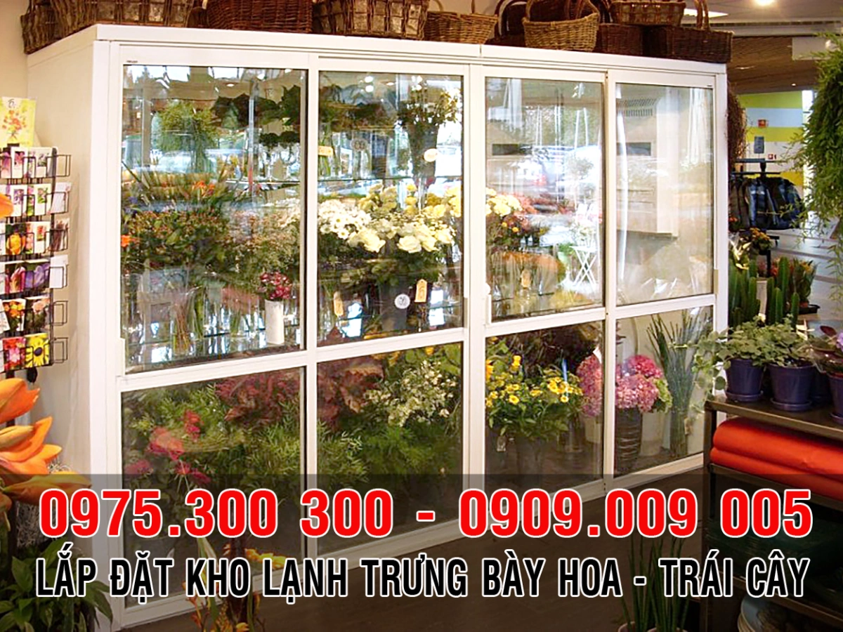 Kho lạnh có kính trưng bày hoa và trái cây