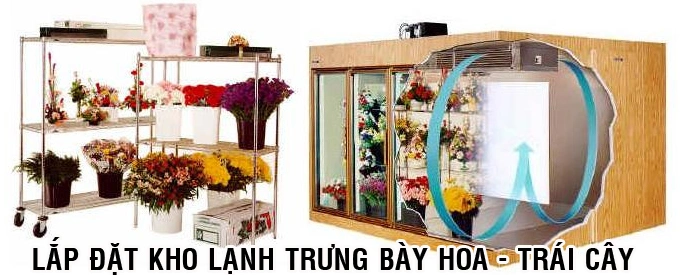 kho lạnh có cửa kính trưng bày hoa