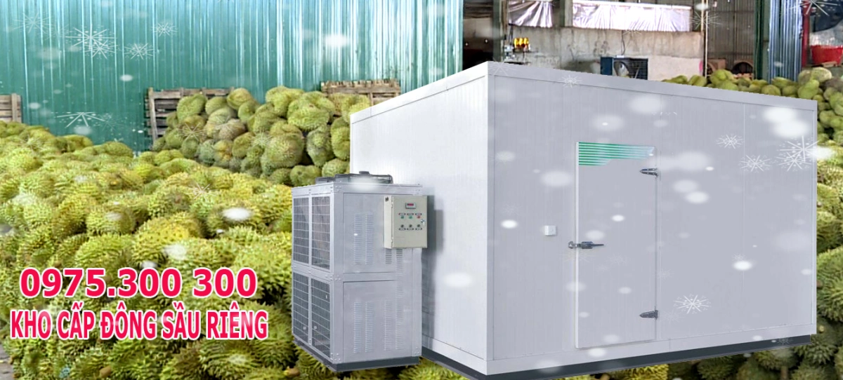Kho cấp đông trái Sầu riêng, kho lạnh bảo quản Sầu riêng 8 kho lnahj sầu riêng