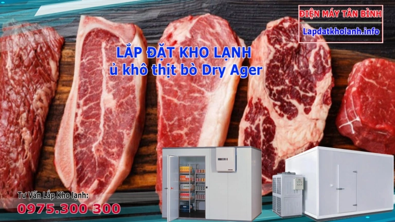 Công Nghệ Ủ Chín Thịt Bò (Dry Aging) và Tủ Ủ Thịt Dry Aged