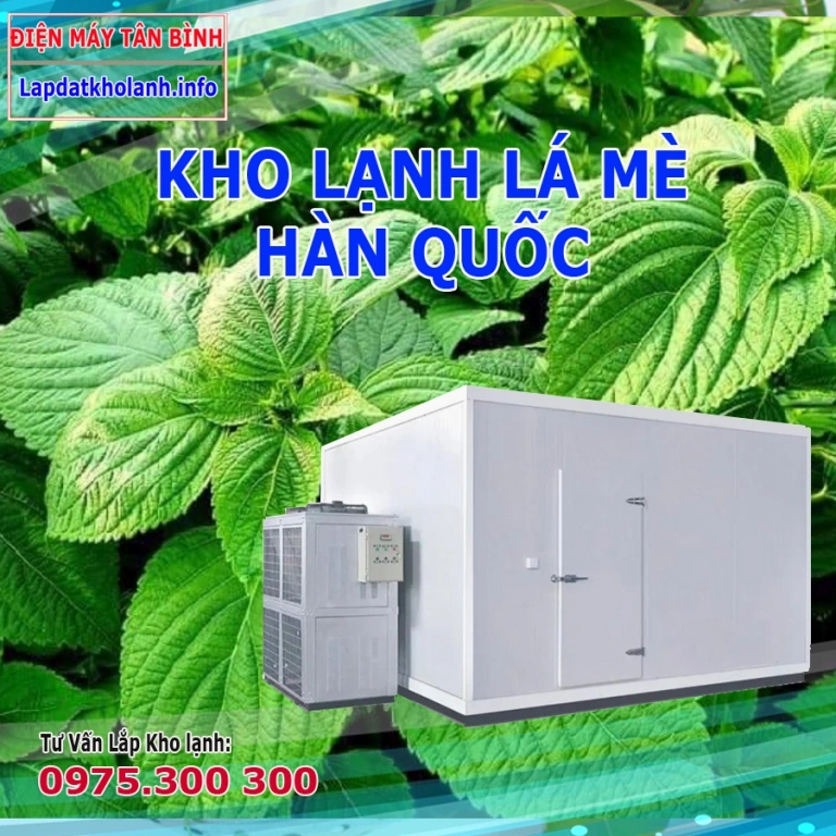 Những lưu ý khi Lắp kho lạnh bảo quản Lá mè Hàn Quốc