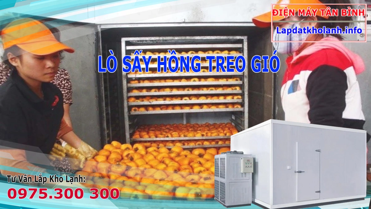 Cách làm hồng treo gió bằng lò sấy nông sản công nghiệp