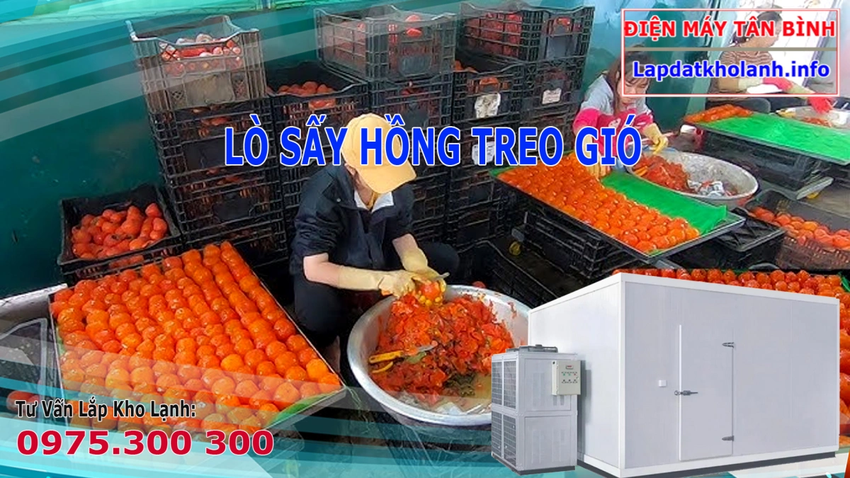 lò sấy công nghiệp hồng treo gió