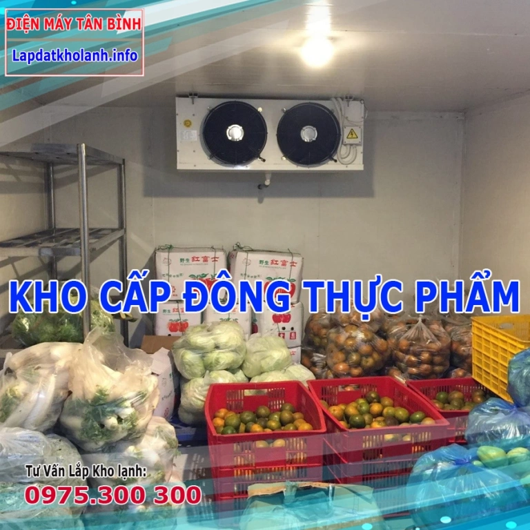 [So Sánh] Lợi ích giữa mua nhiều Tủ đông và Lắp kho đông lạnh