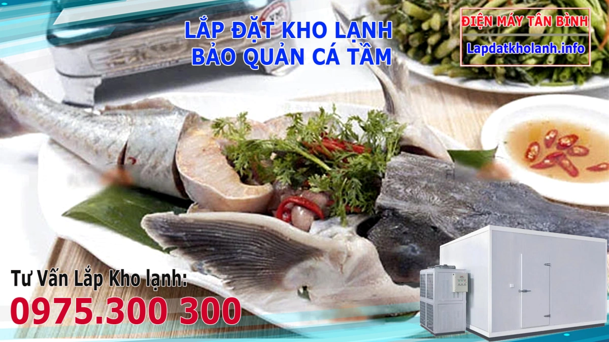Cá tầm làm món gì ngon: Nướng, hấp, lẫu, Sốt cà chua