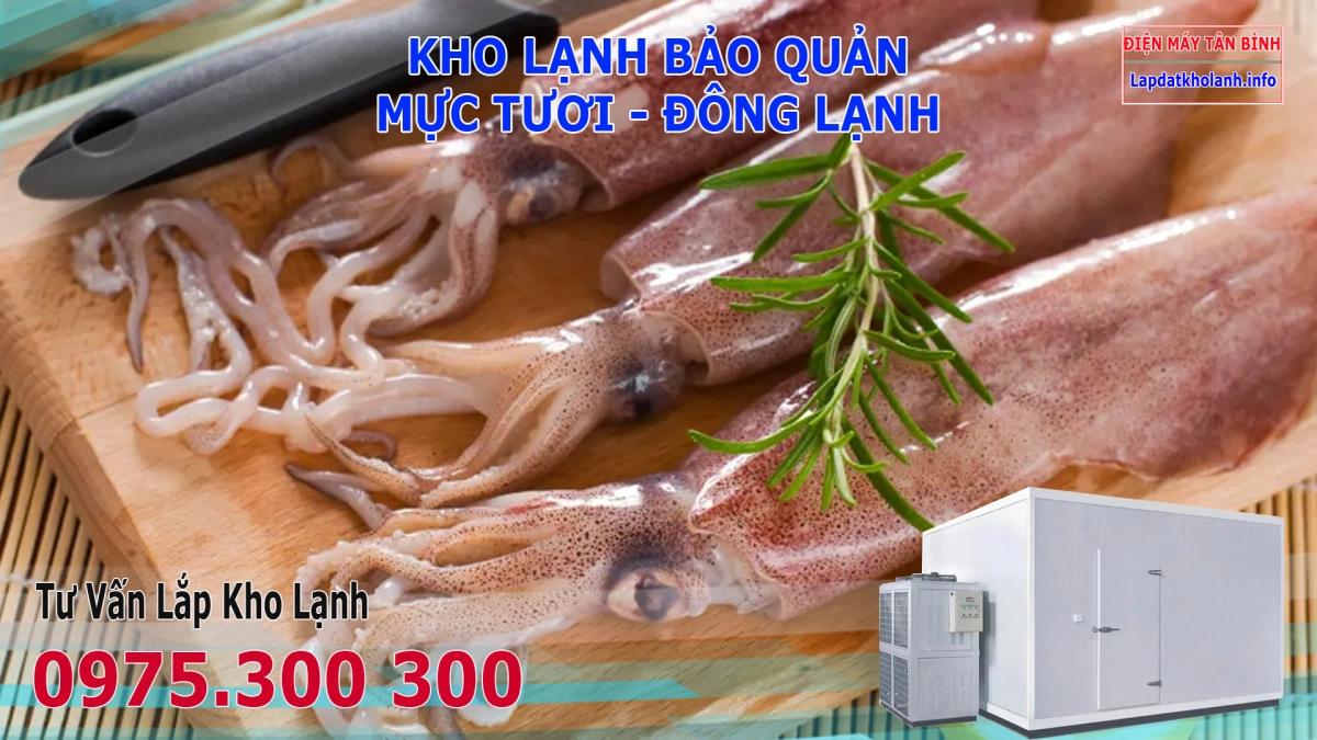 Lắp đặt kho lạnh bảo quản Mực tươi và Đông Lạnh 5 Lắp đặt kho lạnh bảo quản Mực tươi và Đông Lạnh