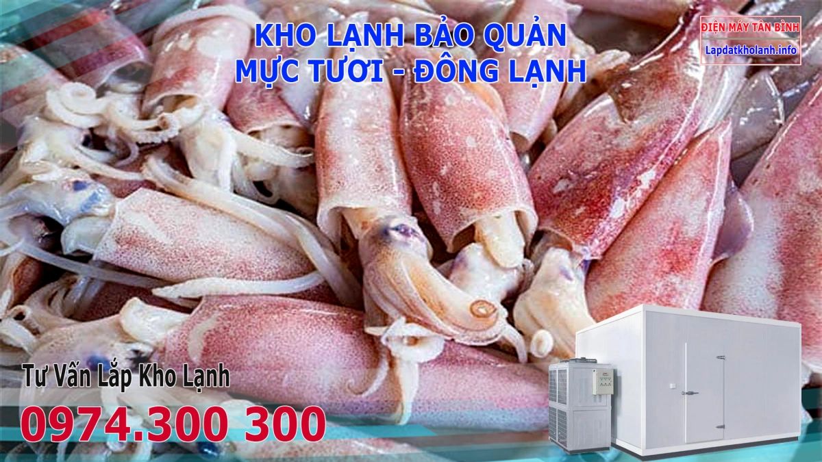 Lắp đặt kho lạnh bảo quản Mực tươi và Đông Lạnh 7 Lắp đặt kho lạnh bảo quản Mực tươi và Đông Lạnh