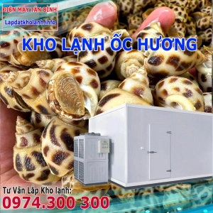 Lắp đặt kho lạnh bảo quản Ốc Hương tươi sống và Đông Lạnh
