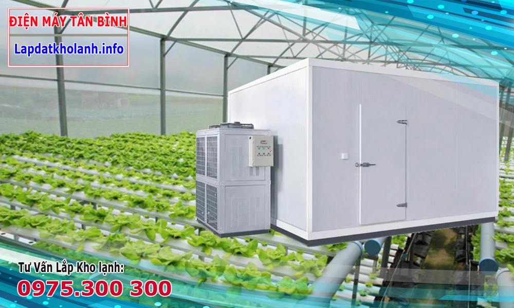 kho lạnh bảo quản rau đà lạt