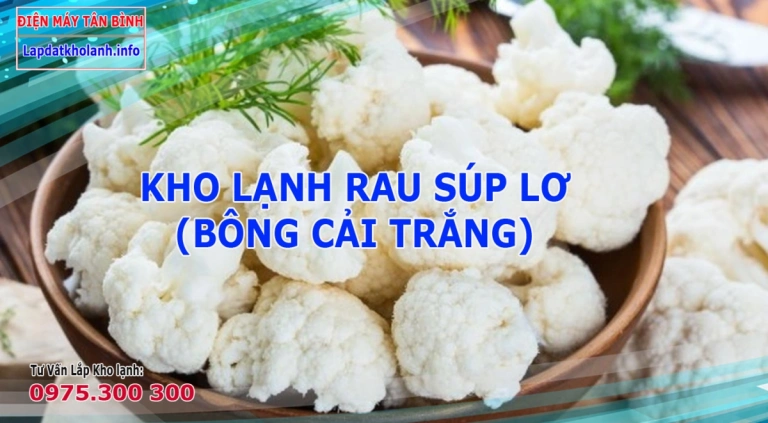 Lắp Kho lạnh quản rau Súp Lơ (Bông cải trắng) cần tiêu chuẩn gì?