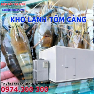 Lắp đặt kho lạnh bảo quản Tôm Càng Xanh tươi và Đông Lạnh