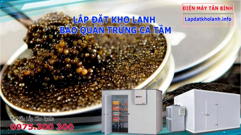 Lắp đặt kho lạnh bảo quản Trứng Cá Tầm tươi ngon lâu hơn