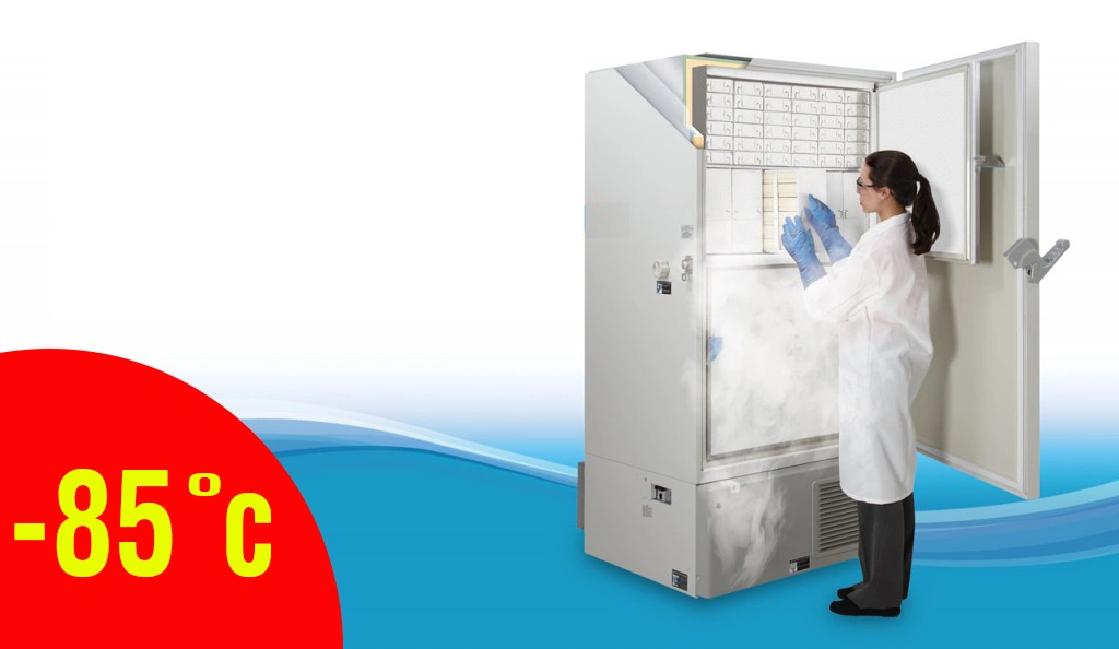 Tủ cấp đông y tế