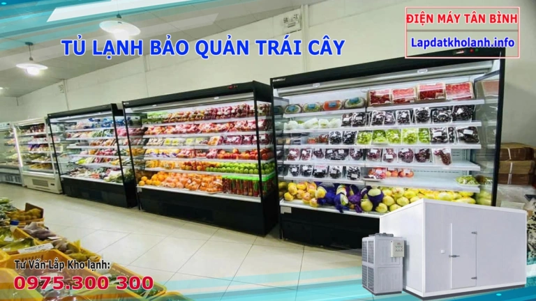 Tư Vấn Mở Cửa Hàng Bán Trái Cây Và Các Loại Tủ Mát Chuyên Dùng
