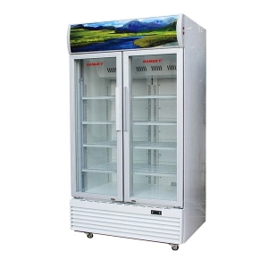 Tủ mát 2 cửa 1000 lít Sanaky VH-1009HP2